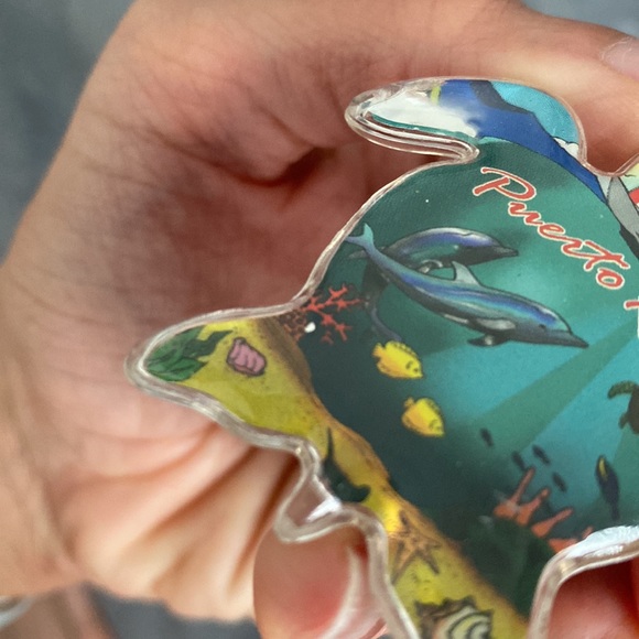 Puerto Rico turtle marine life keychain accessory - Picture 14 of 15